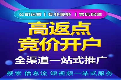 某某sem推广公司实战案例：精准投放提升转化率